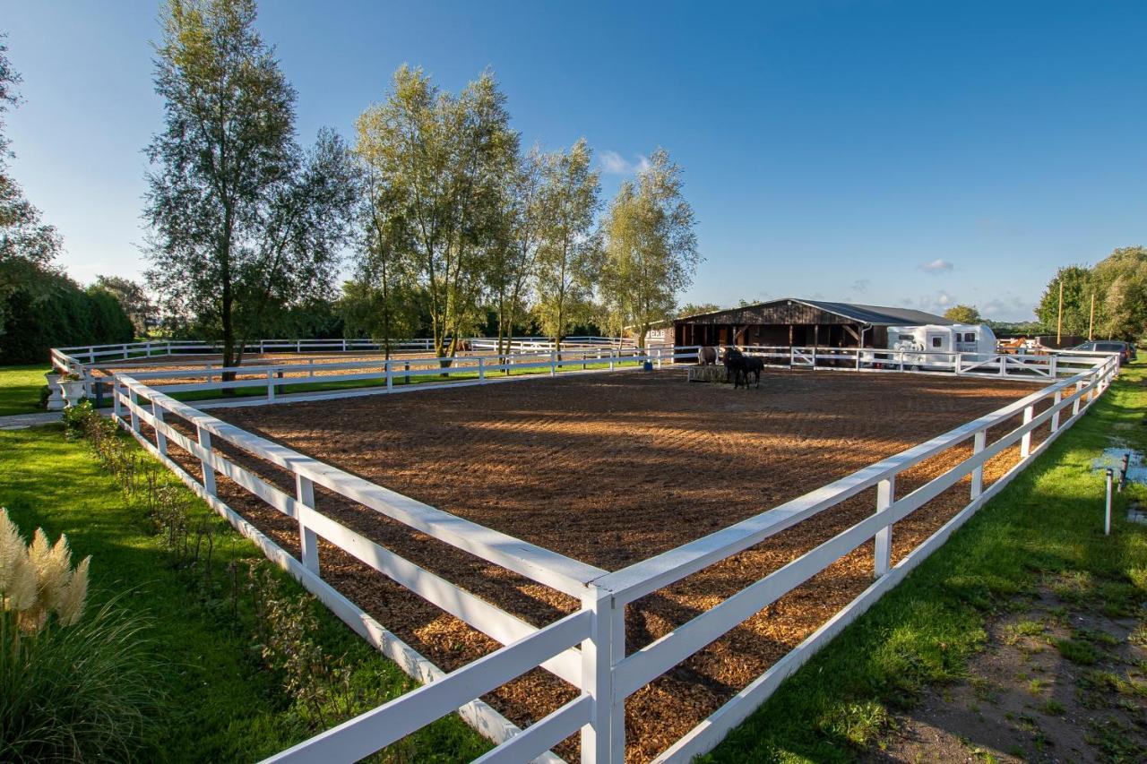 Luxus Resort Ruegen Residenz Kubitzer Bodden Rambin Dış mekan fotoğraf